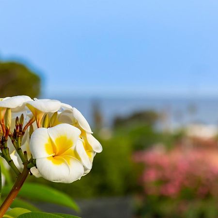 Nice To Stay Fontane Bianche Dış mekan fotoğraf