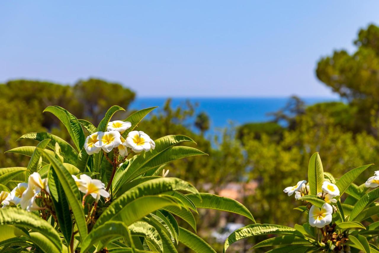 Nice To Stay Fontane Bianche Dış mekan fotoğraf